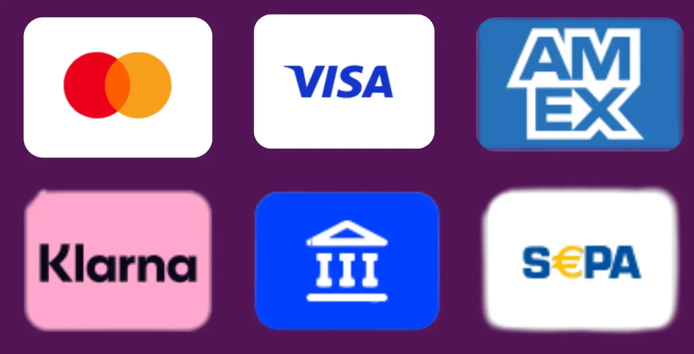 Zahlungsmethoden bei SHINDOD: Mastercard, Visa, American Express, Klarna, SEPA, Banküberweisung